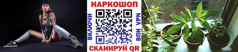 Магазины продажи наркотиков Великий Новгород СОЛЬ МЕФ ГАШИШ COCAIN