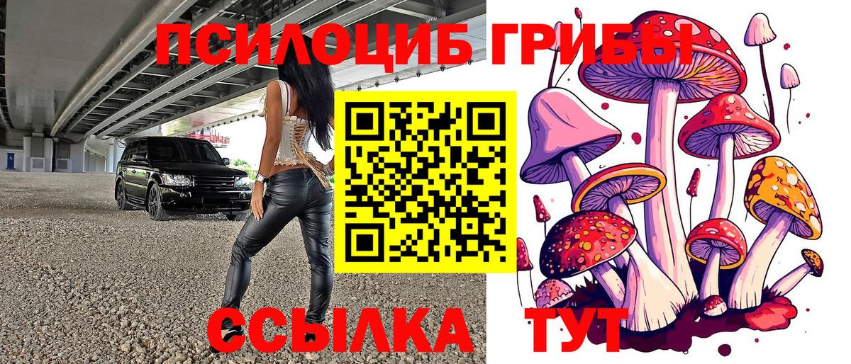 Псилоцибиновые грибы Magic Shrooms Великий Новгород